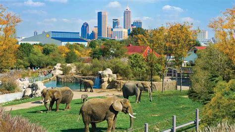 Zoo indianapolis - Dec 11, 2023 · The Indianapolis Zoo is a 501 (c)(3) nonprofit organization (charity number 35-1074747) that does not receive tax support and is governed by a board of trustees. The Indianapolis Zoo is accredited as a zoo, aquarium and botanical garden. 